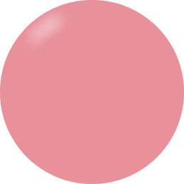 Presto Color Gel