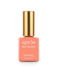 Aprés Gel Couleur 221 Orangesicle