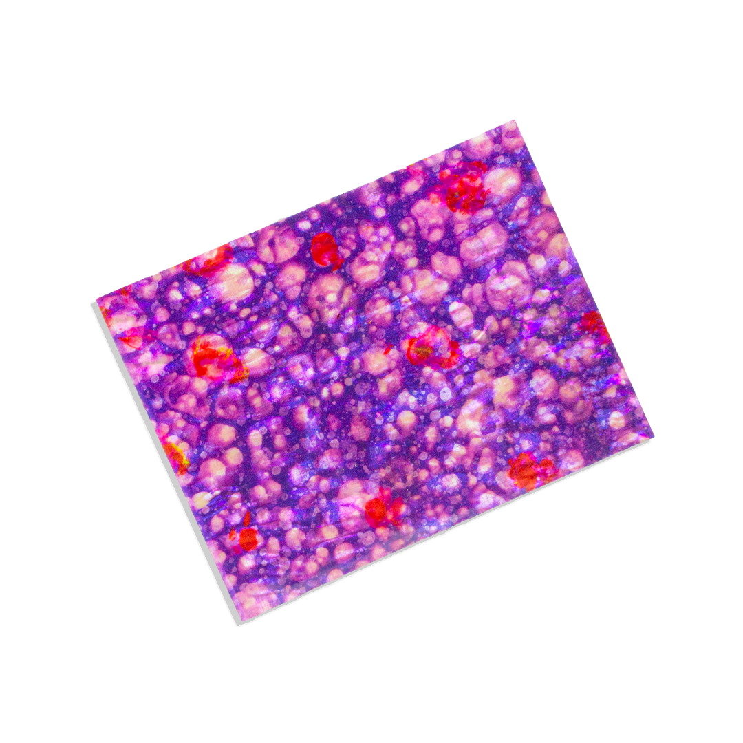 by aIRI Raden Collection Adhesive