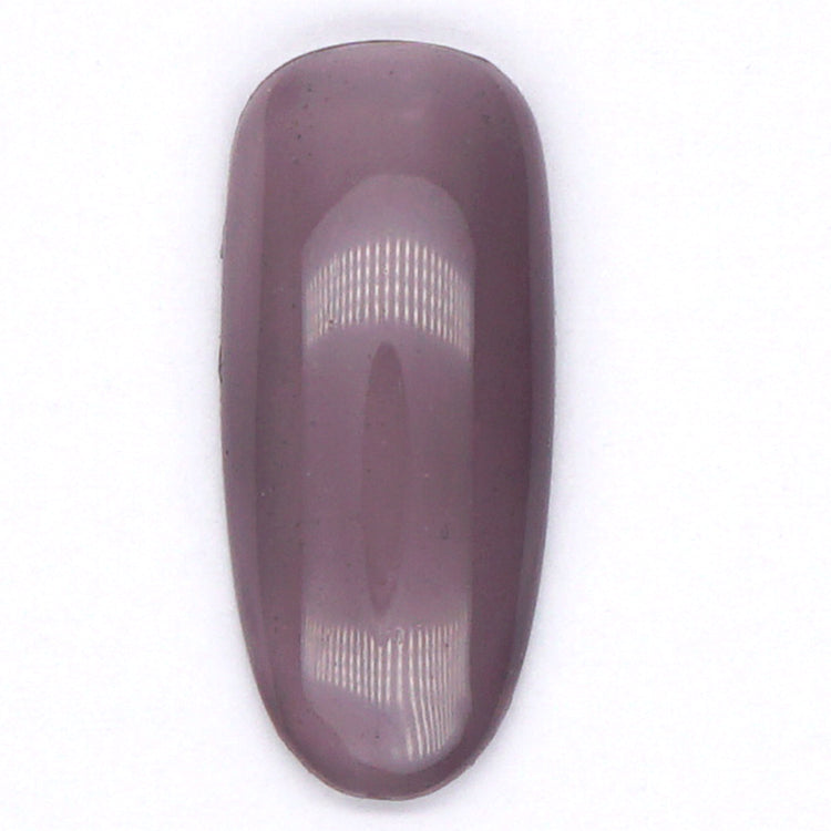 Presto Color Gel HL004 [Jar] [J072]
