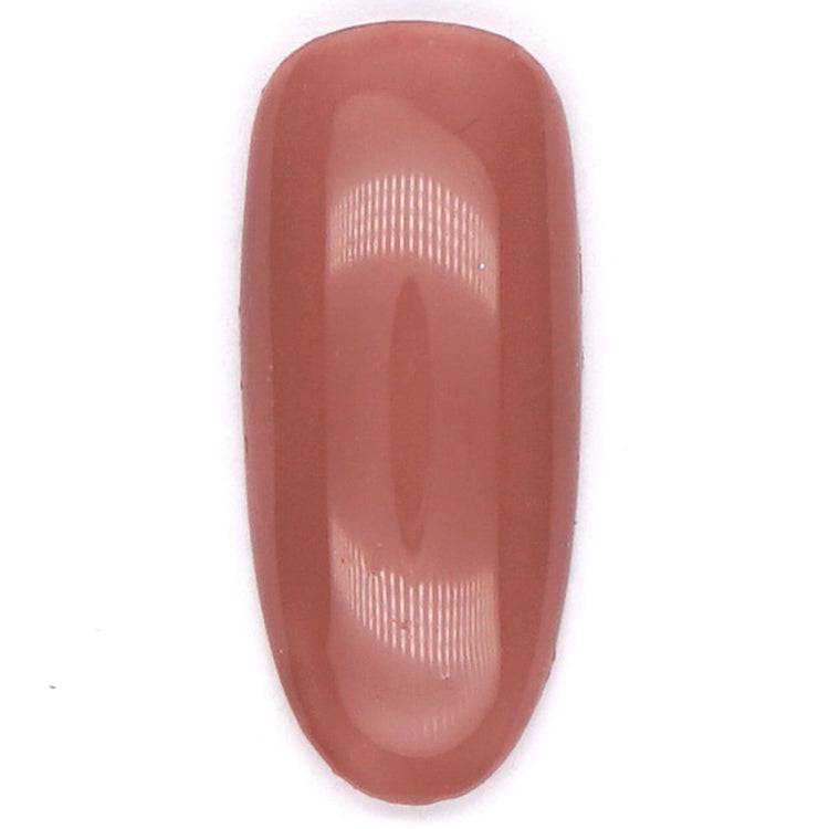 Presto Color Gel HL005 [Jar] [J073]