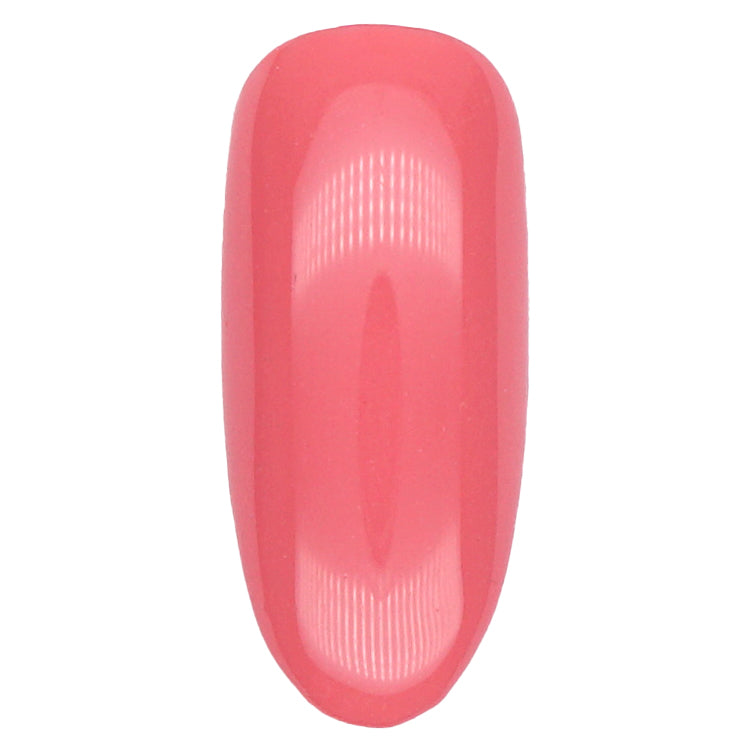 Presto Color Gel BT009 [Jar]