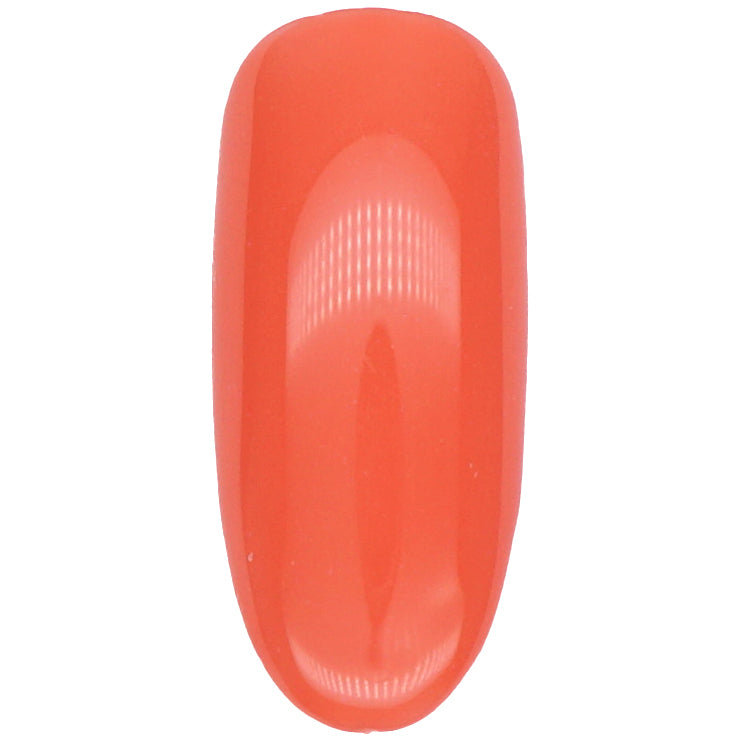Presto Color Gel BT010 [Jar]