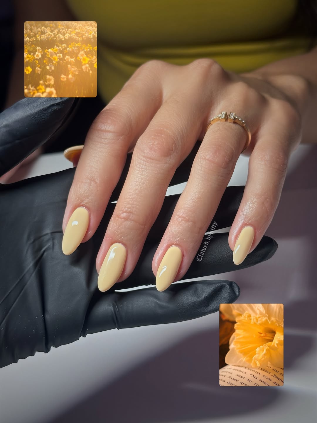 PRESTO Color Series: DAFFODIL DREAM 750