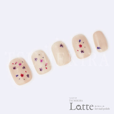 Tsumekira [Latte] Dry Flower Mini LT-DFM-101