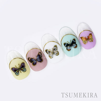 Tsumekira DAISY&#39;S GARDEN BUTTERFLY NN-DAI-114