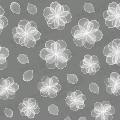 Tsumekira RRIEENEExFILER Organdy Flower White NN-RXF-101