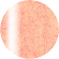 ageha Gel Opti Color #4-23 Baby Orange [Jar]