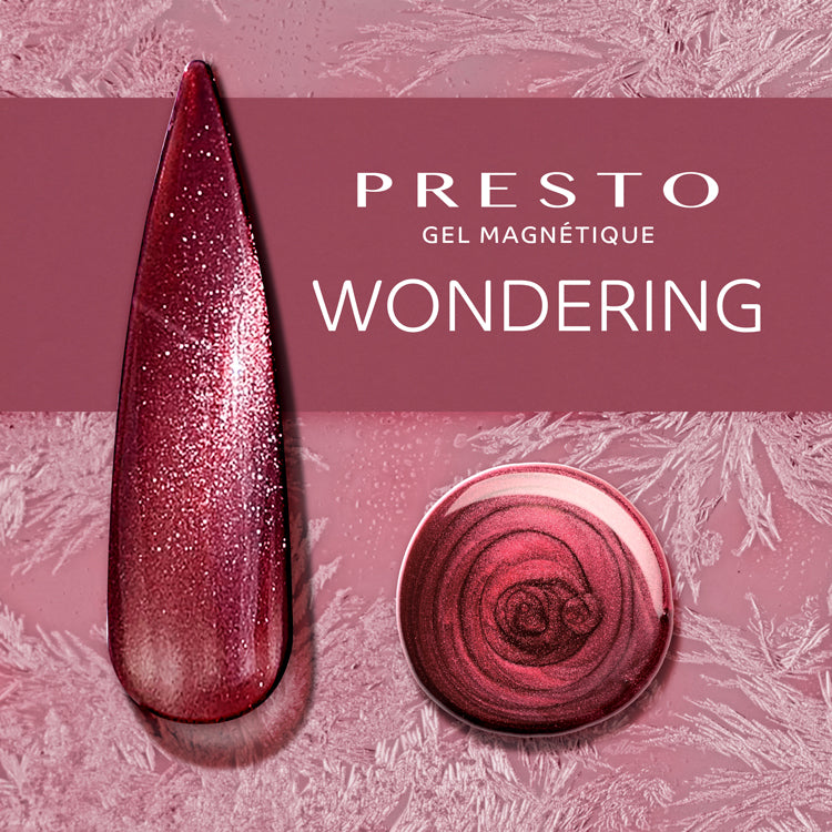 PRESTO Gel Magnétique - FF01 - Wondering