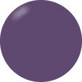 Presto Color Gel #081 [Bottle]