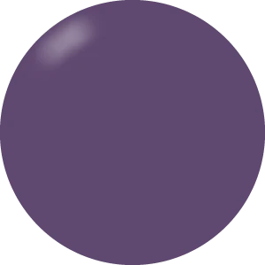 Presto Color Gel #081 [Bottle]