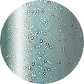 ageha Gel Opti Color #1-12 Green Aqua G-Mix [Jar]