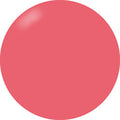 Presto Color Gel #127 [Bottle]