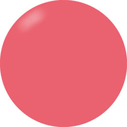Presto Color Gel #127 [Bottle]