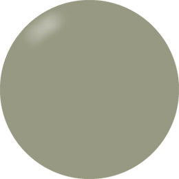 Presto Color Gel #191 [Bottle]