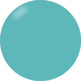 Presto Color Gel #223 [Bottle]