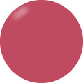 Presto Color Gel #225 [Bottle]