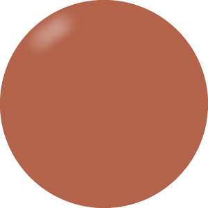 Presto Color Gel #241 [Bottle]