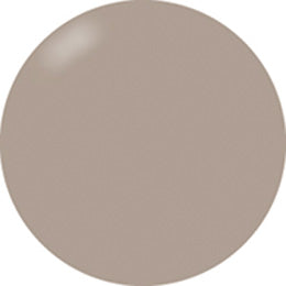 Presto Color Gel #245 [Bottle]