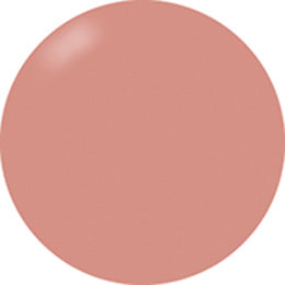 Presto Color Gel #251 [Bottle]