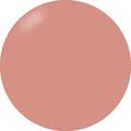 Presto Color Gel #251 [Bottle]