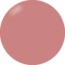 Presto Color Gel #255 [Bottle]