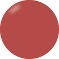 Presto Color Gel #318 [Bottle]