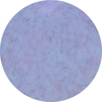 Presto Color Gel #325 [Jar]