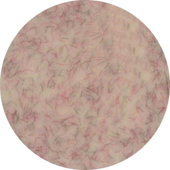 Presto Color Gel #333 [Jar]