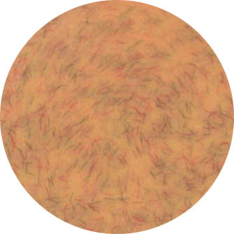 Presto Color Gel #334 [Jar]