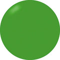 Presto Color Gel #351 [Bottle]