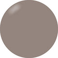Presto Color Gel #373 [Bottle] [J005]