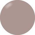 Presto Color Gel #377 [Bottle] [J016]