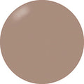Presto Color Gel #379 [Bottle] [J024]