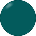 Presto Color Gel #383 [Bottle] [J037]