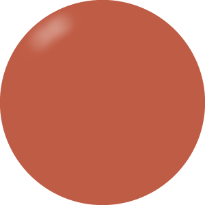 Presto Color Gel EL010 [Jar] [J042]
