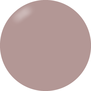 Presto Color Gel EL013 [Jar] [J063]