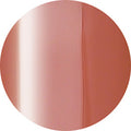 Presto Color Gel HL005 [Jar] [J073]