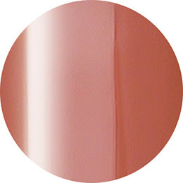 Presto Color Gel HL005 [Jar] [J073]