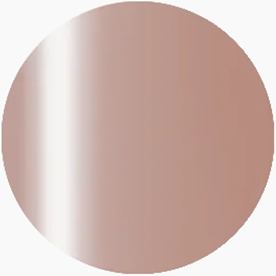 Presto Color Gel S404