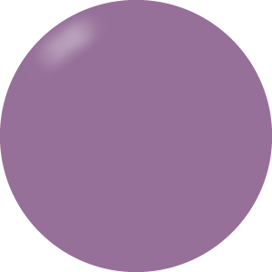 Presto Color Gel S421